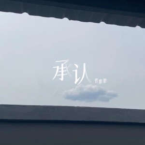 承认 - Single