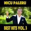 Nicu Paleru Best Hits, Vol. 3