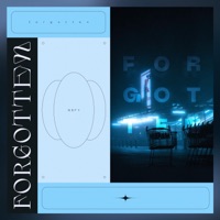 Forgotten - Single - NBFY