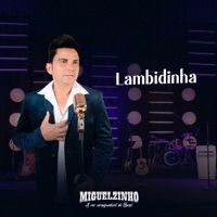 Lambidinha (Ao Vivo) - Single - Miguelzinho
