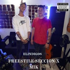 bichote freestyle sección x mik