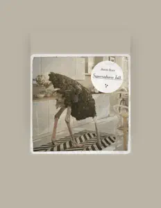 聆聽 Burkini Beach、觀看音樂影片、閱讀小傳、查看巡演日期等！