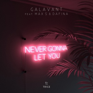 Never Gonna Let You (feat. Max S & Dafina) - Single