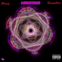VIBRATIONS (feat. Quazixflexo) - Single - $hevvy