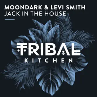 Jack in the House (Radio Edit) - Single by MoonDark & Levi Smith album reviews, ratings, credits