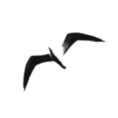 Listen to Healer, watch music videos, read bio, see tour dates & more!