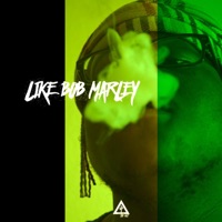 LIKE BOB MARLEY - Single - Vonte Mays & Valley Club