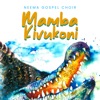 Mamba Kivukoni, 2022