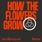 How the Flowers Grow (feat. Pixx) - Röyksopp lyrics