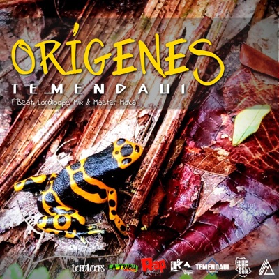 Orígenes - Single