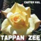 Tappan Zee artwork