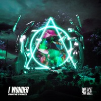 I Wonder - Single - Dwayne Swayze