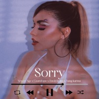 Sorry (feat. Yung Karma & David Rone) - Single - Newen Sgs
