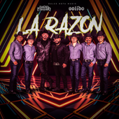 La Razón - David Y Fernando & Solido song art