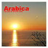 Arabica (feat. Nicola Gatti) - DJ Lopo