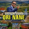 Ori Nane - Single