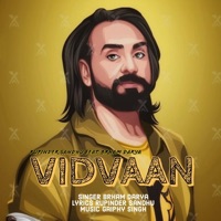 Vidvaan (feat. Brham Darya & Gaiphy) - Single - Rupinder Sandhu