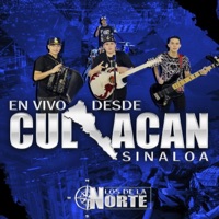 En Vivo Desde Culiacán (Los De La Norte) [En vivo] - Los de la Norte