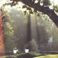 Sunlight - Single - Tune in with Chewie