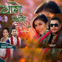 Pyaro Manchhe (feat. Dinesh Chhetri & Shanti Shree Pariyar) - Single - Heruka Lama