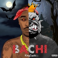 Bachi - King Cachi