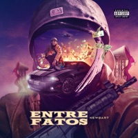 Entre Fatos - NewBart