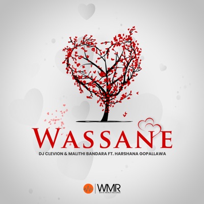 Wassane (feat. Harshana Gopallawa) - Single