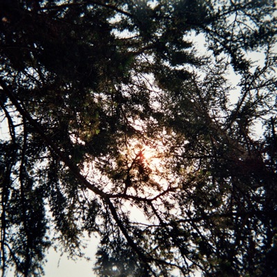 Arroyo (Verde) - Single