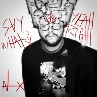 Say What? Yeah Right! - Niko Torres