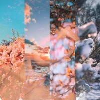 All Year Long - Single - Züri