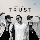 Trust artwork