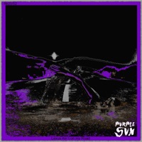 Lexus Ain't on my Road - Single - Purple Sun