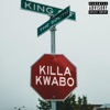 King of the South - Single