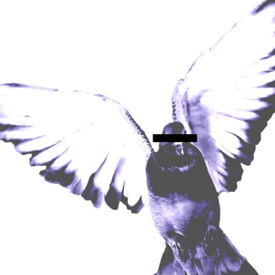 Pigeon - Single