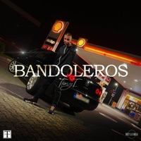 Bandoleros - Single - Tony T