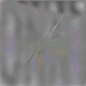 Sleep - Single