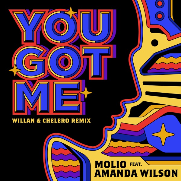 You Got Me (Willan & Chelero Remix) [feat. Amanda Wilson] - Single