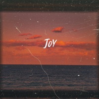 Joy - Single - Lil Used & Bearsun