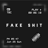 Fake shit - Single - Mr.1318