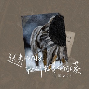 迟来的阳光救不了枯萎的向日葵 - Single