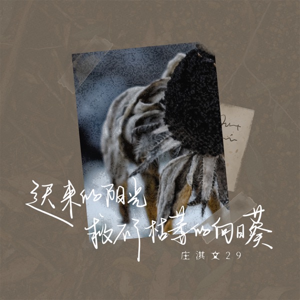 迟来的阳光救不了枯萎的向日葵 - Single