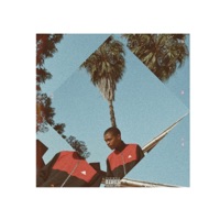 Autumn Leaves - Single - Blue Pappi