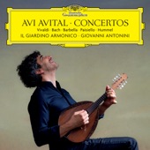 Mandolin Concerto in G Major, S. 28: I. Allegro moderato e grazioso artwork