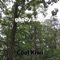 Goody Baby - Cool Kiwi lyrics