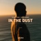 In the Dust artwork