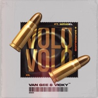 VOLOVOLO (feat. MphoEL & Soundslucid) [Radio Edit] - Single - Van Gee & Vicky