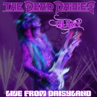 Burn (Live from Daisyland) - Single - The Dead Daisies