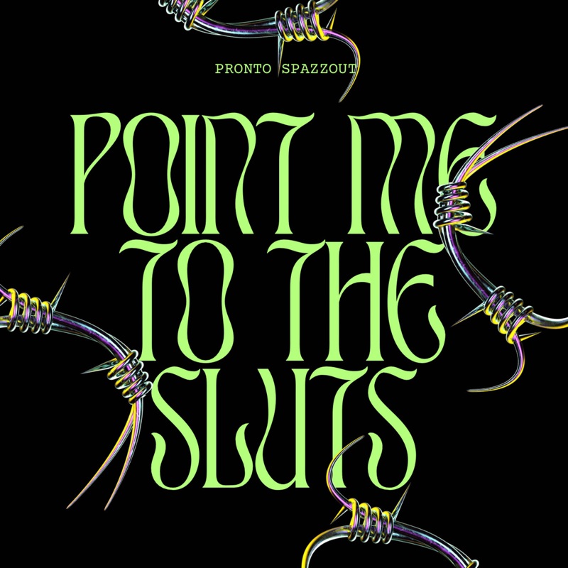 Point Me To the Sluts (Spazz Mix) - Single