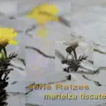 A Paz