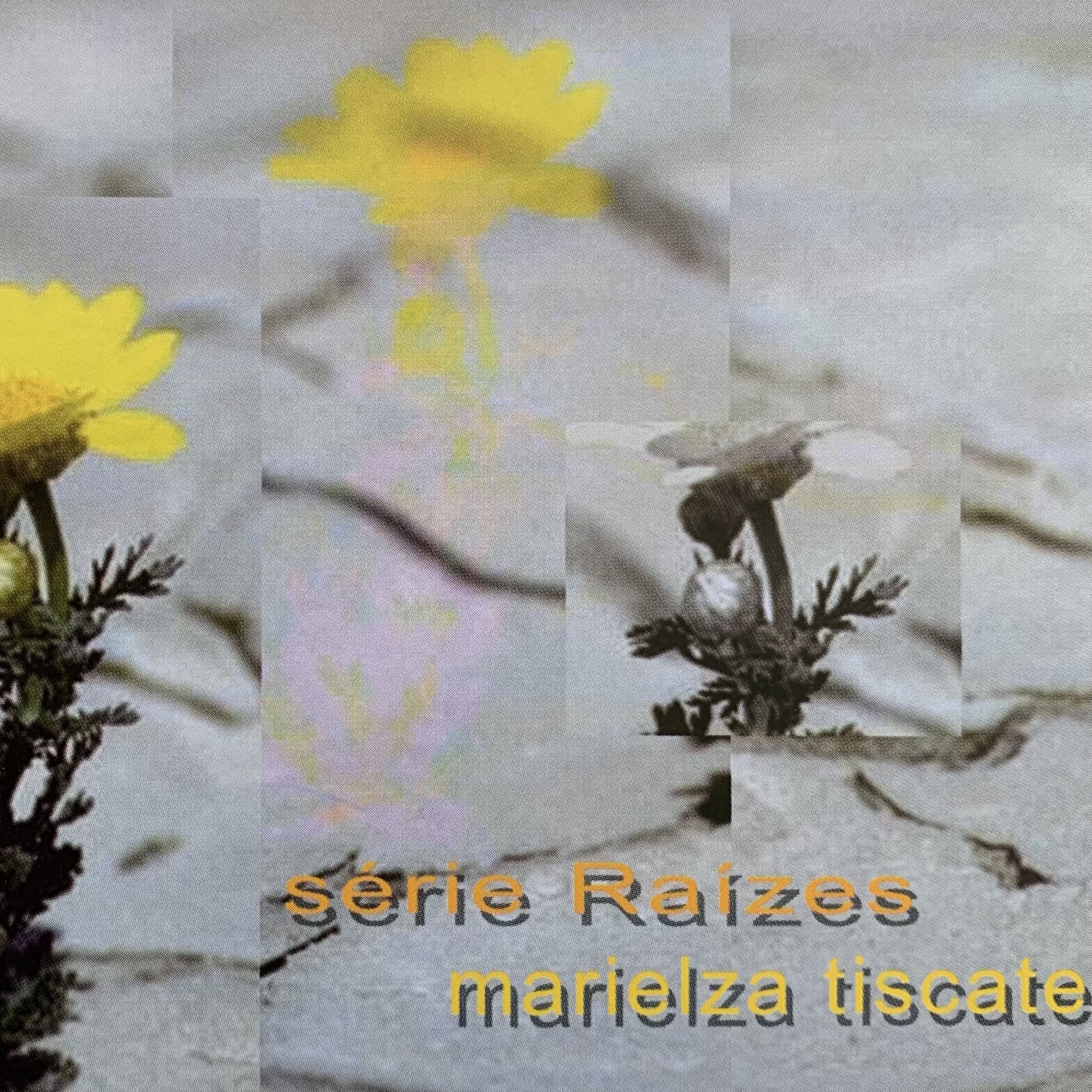 Marielza Tiscate - Arte do Tempo